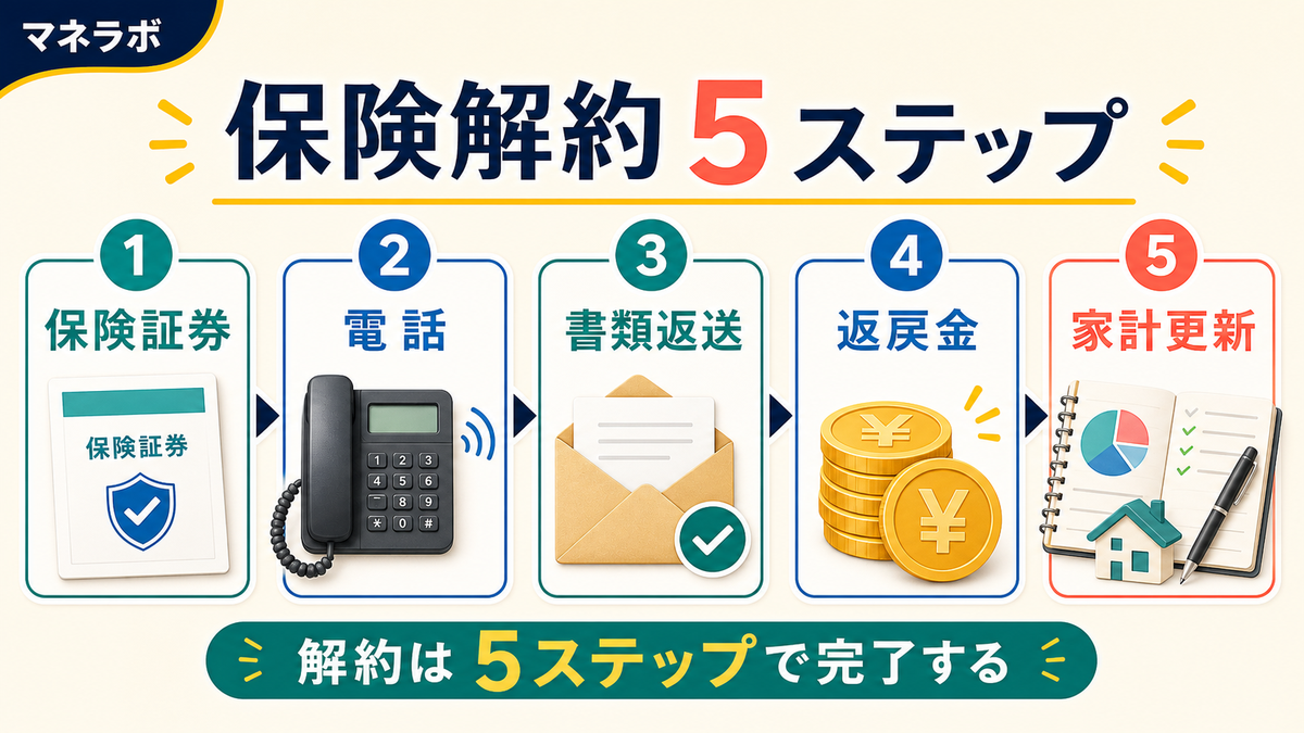保険解約の全体像